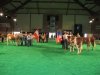 eurosimmental 2011